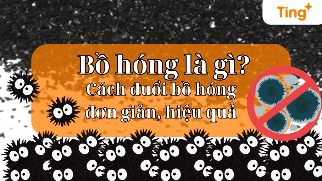 Bồ hóng trong nhà — nguyên nhân và cách xử lý