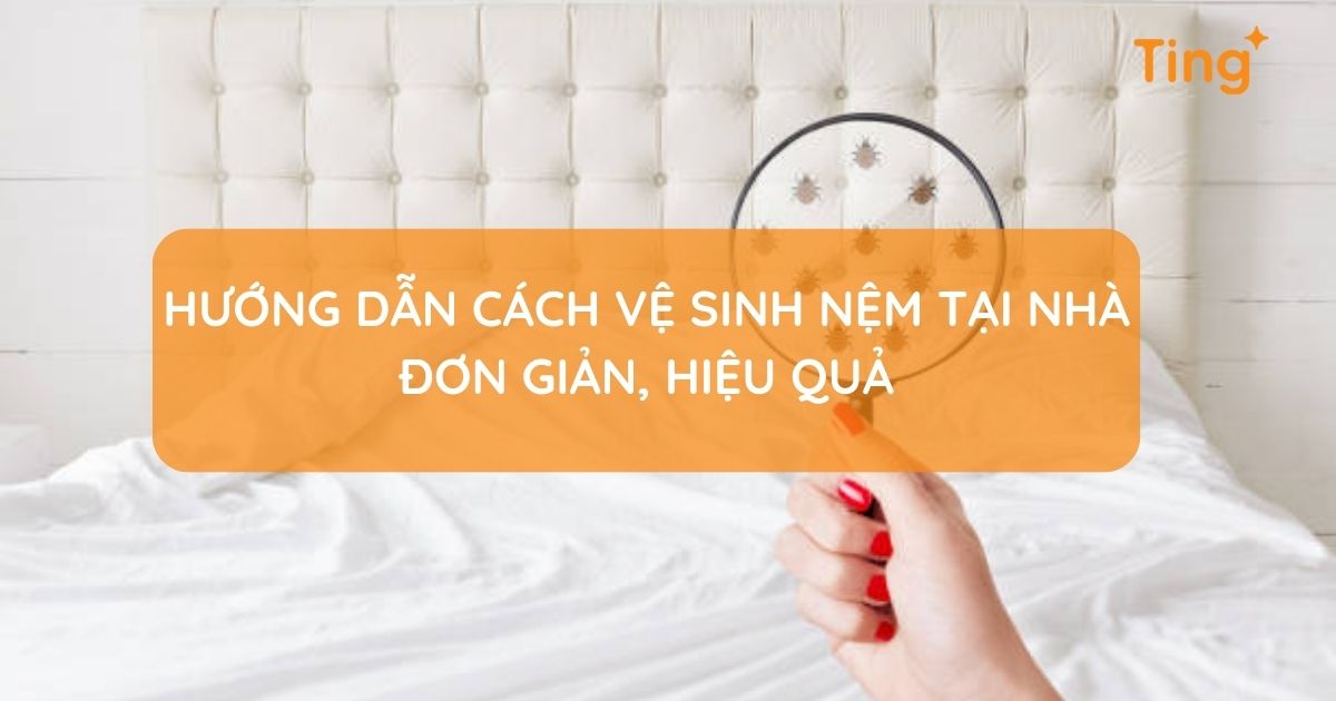 Cách vệ sinh nệm tại nhà hiệu quả