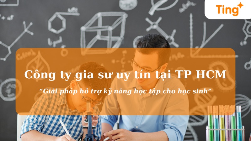 Top công ty gia sư uy tín tại TP.HCM