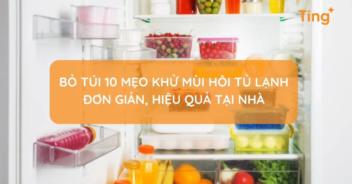 Cách khử mùi hôi tủ lạnh hiệu quả và đơn giản